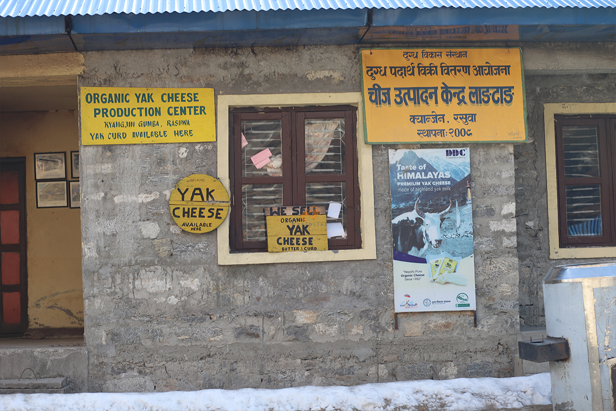 Langtang Cheese Factory at Kyanjin Ri